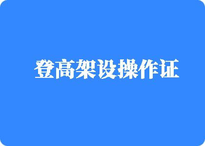 91交操国产777登高架设操作证